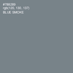 #788289 - Blue Smoke Color Image